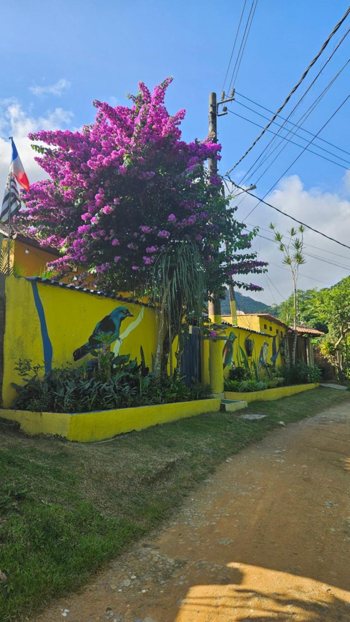 Casa Dos Franceses Ilha Grande 빌라 외부 사진