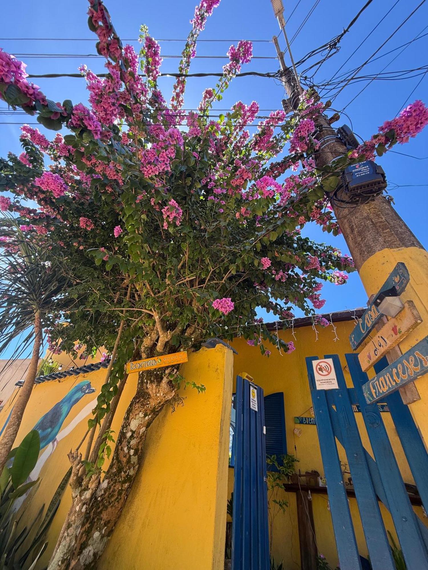 Casa Dos Franceses Ilha Grande 빌라 외부 사진