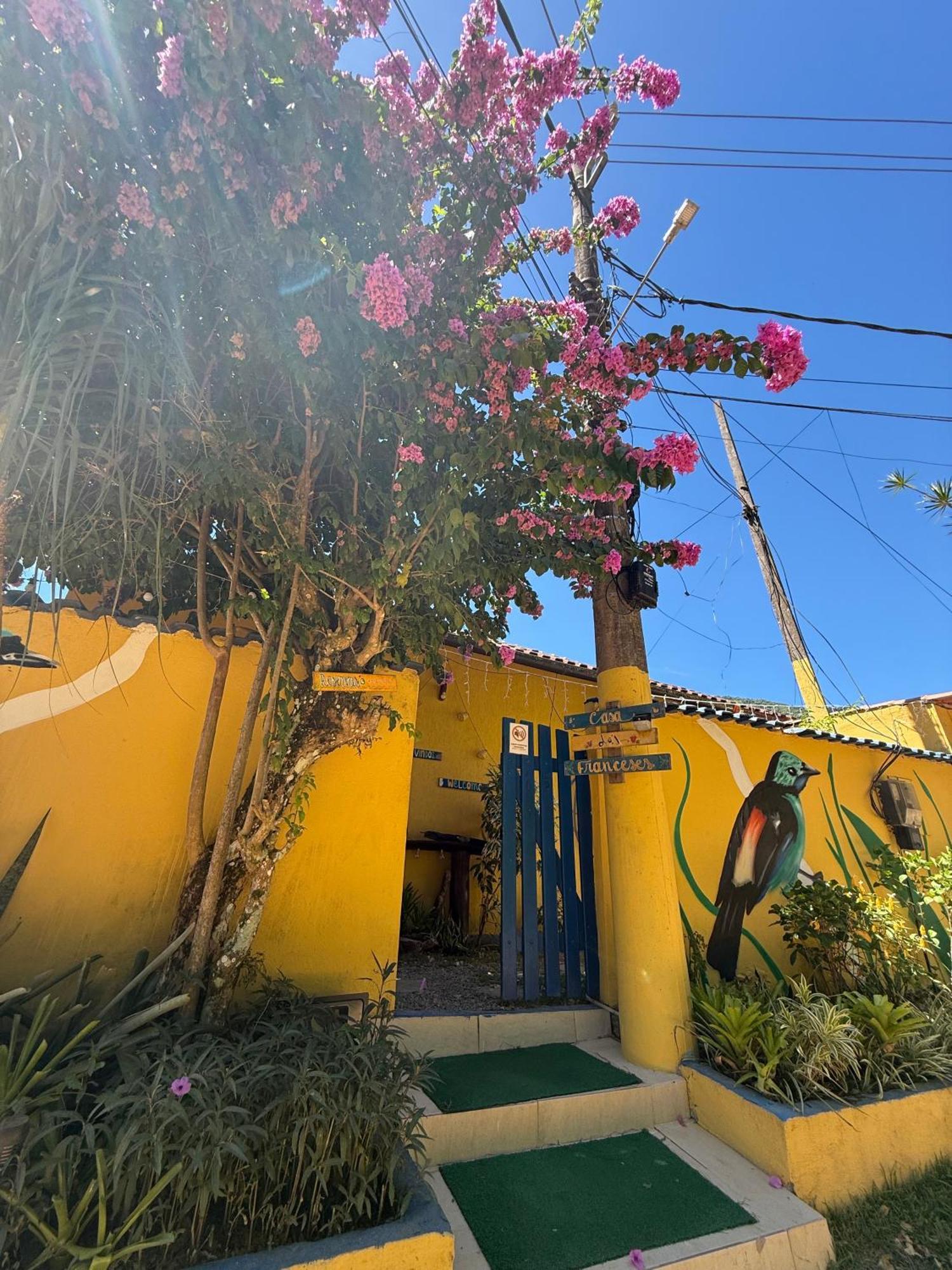 Casa Dos Franceses Ilha Grande 빌라 외부 사진